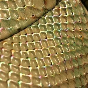 Brahmin Bristol Hobo