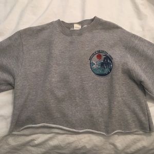 cropped sweatshirt