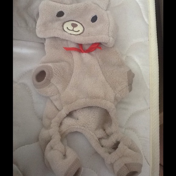Bear onesie for dogs