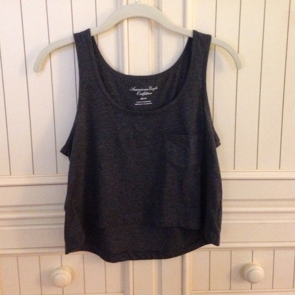 American Eagle Grey Cropped Tank