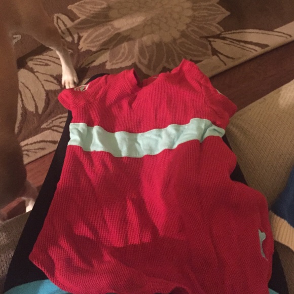 Martha Stewart pet dress