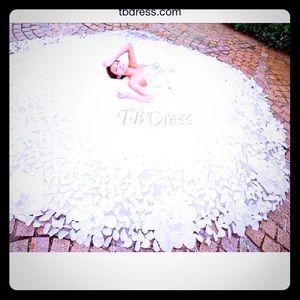 Brand new Size 12 cathedral A-line wedding dress