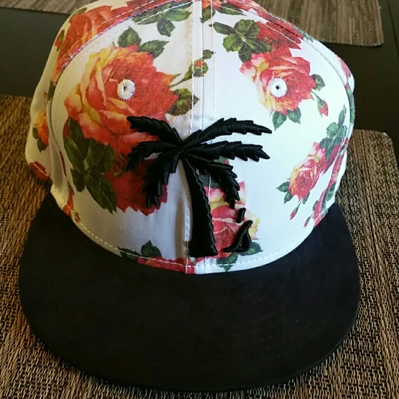 Blvd baseball hat from Tilly's - Picture 2 of 2