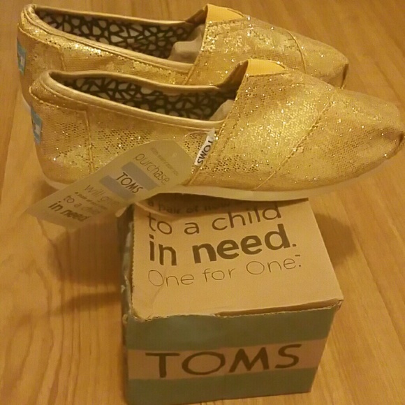 New TOMS