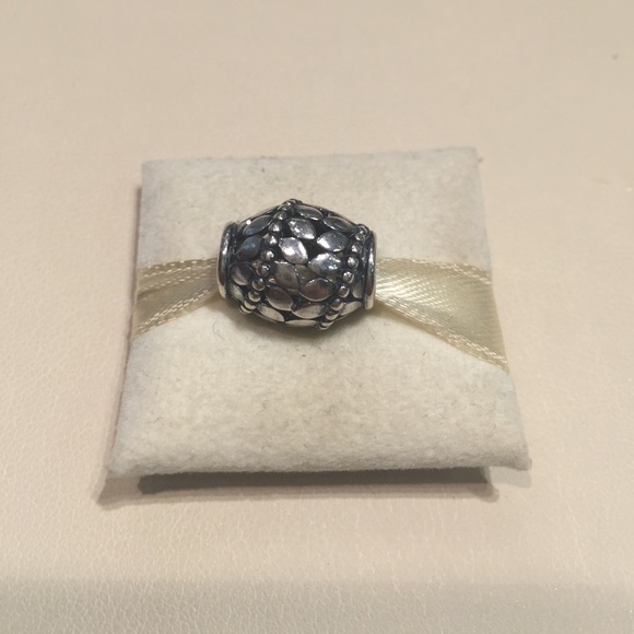 Silver Pandora Charm - Picture 1 of 1
