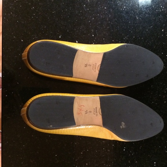 FLASH SALE! Celebrity owned! Lizard! - Picture 2 of 4