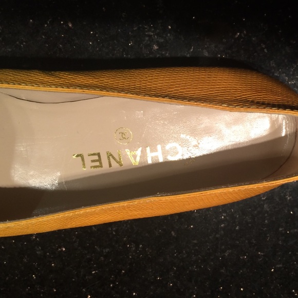 FLASH SALE! Celebrity owned! Lizard! - Picture 3 of 4