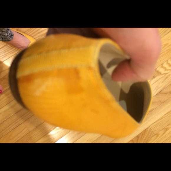 FLASH SALE! Celebrity owned! Lizard! - Picture 4 of 4