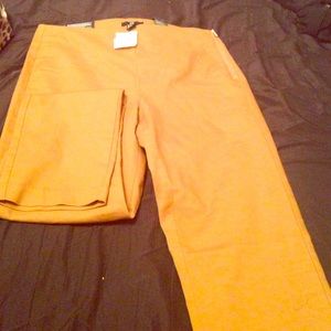 Gold pants ( brand new )