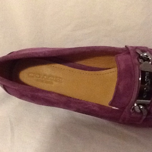 Coach Kimmie - Picture 3 of 4