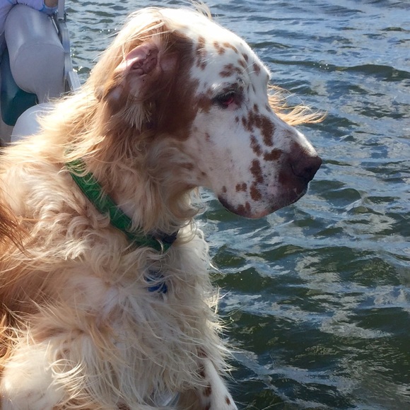 Meet Luke! - Picture 3 of 4