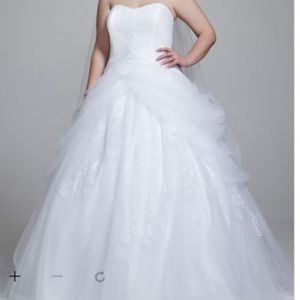 David's Bridal Ballgown wedding dress