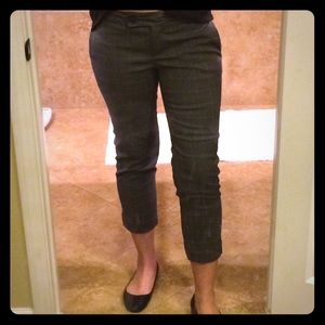 Ann Taylor Loft Capri pants