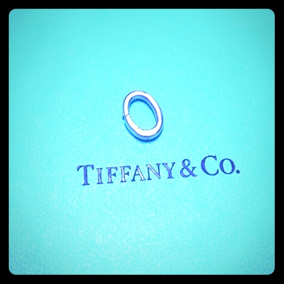 Tiffany charm clip