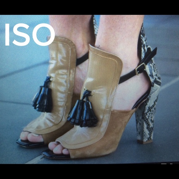 In SEARCH Of Zara Snakeskin Tassle heels!!