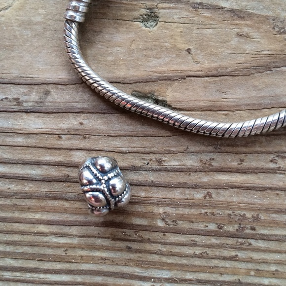 Pandora journey charm hold!