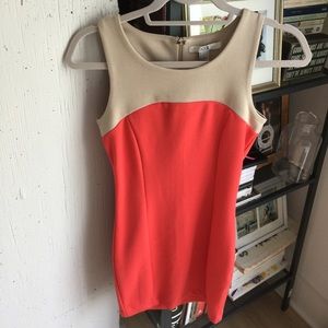 Pink and Nude Body Conscious Dress