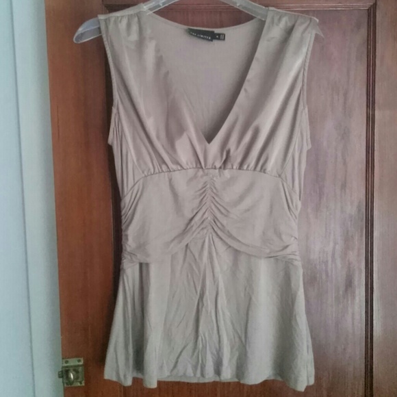 Sleeveless Taupe Satin Accent Top Medium