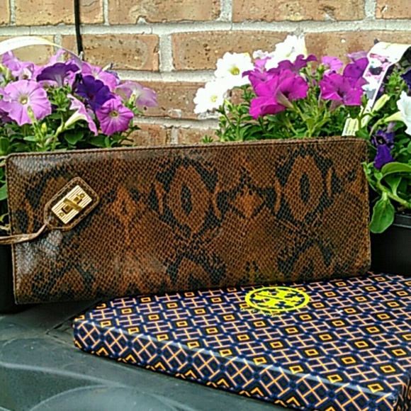 Clutch brown python - Picture 2 of 4