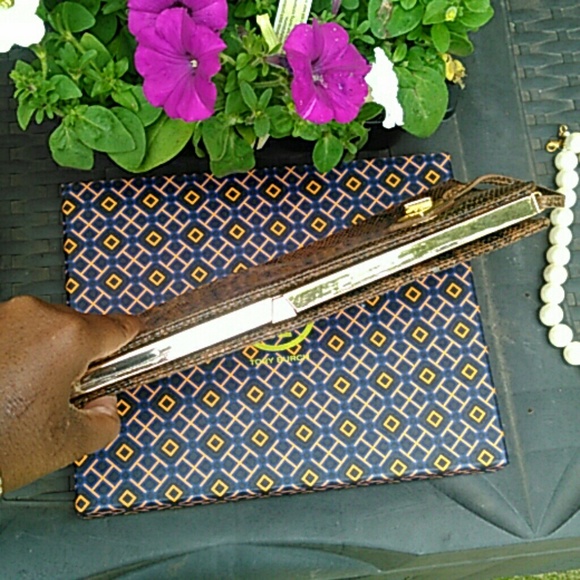 Clutch brown python - Picture 4 of 4