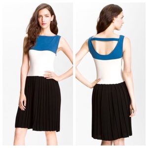 Rachel Roy Topaz dress