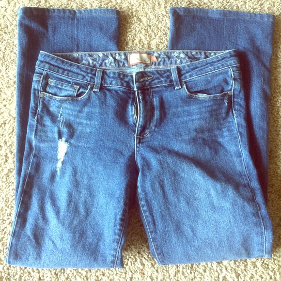 Paige jeans Hollywood Hills size 31