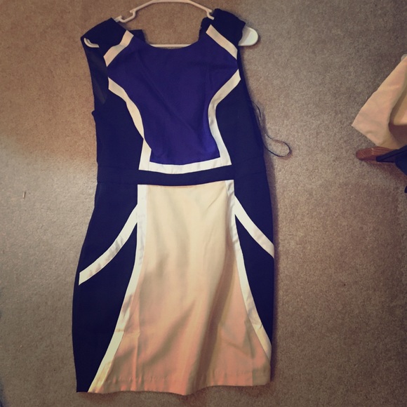 Paneled fashionable businessy dress