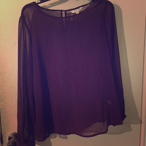 Purple sheer Blouse