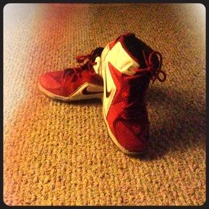 Lebron12 heart of the lion