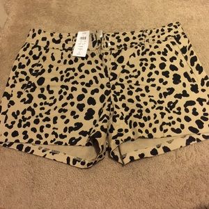 Cache Leopard print shorts