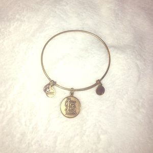 Alex and Ani st Louis Cardinals gold bracelet