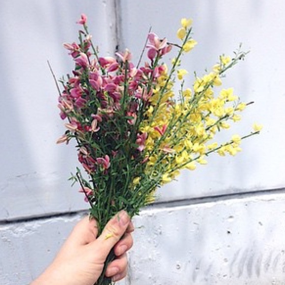 πβ¨ BUNDLE UP β¨ BUNDLE UP β¨π - Picture 1 of 1