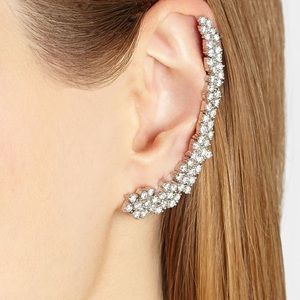 Aldo whole ear ring.