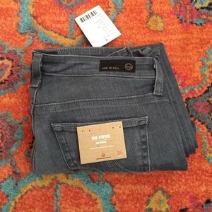 BNWT Anthropologie gray Stevie AG straight sz 26