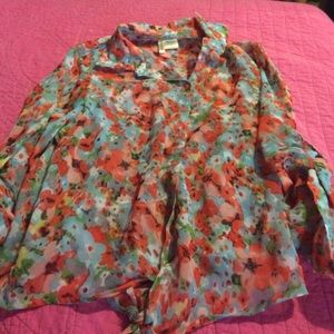 Summary sheer long sleeve