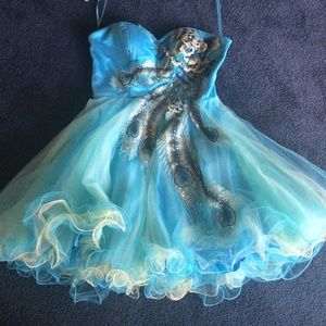 Peacock tulle dress