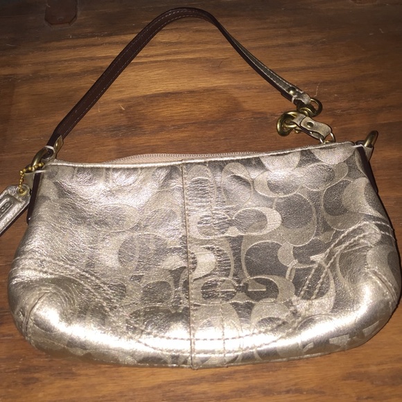 Purse/wristlet