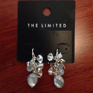 Brand new adorable earrings