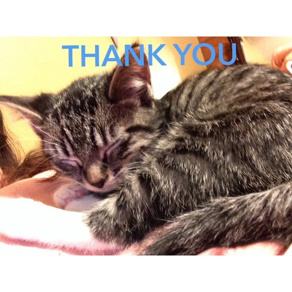 💕💕💕  💋💋THANK YOU!!!💕💕💕💋💋