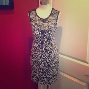 B&W leopard knit dress with lace illusion neck