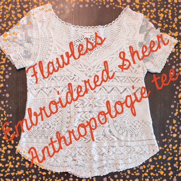 Flawless Anthro sheer embroidered tee in cream