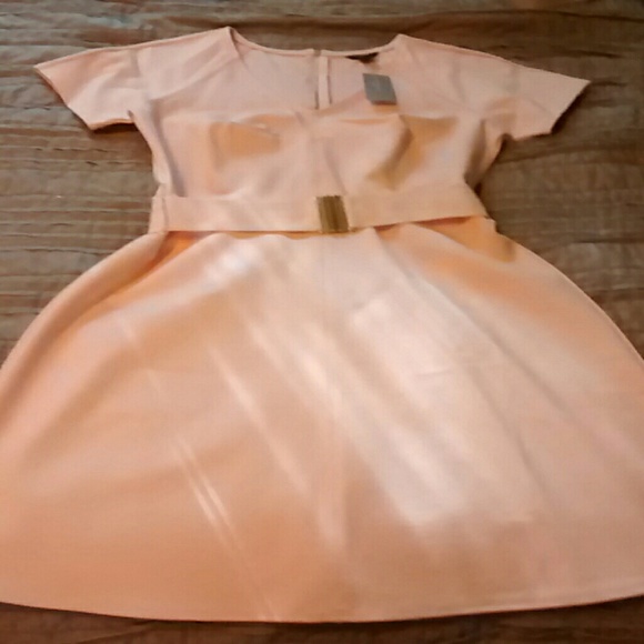 Ann Taylor blush A line dress