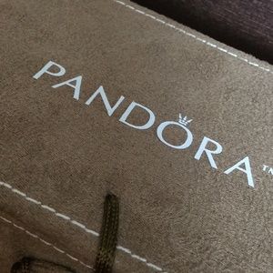 Pandora jewelry storage box