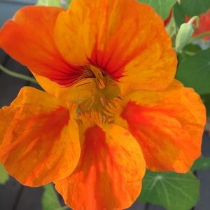 MAKE AN OFFER! I am willing to consider!