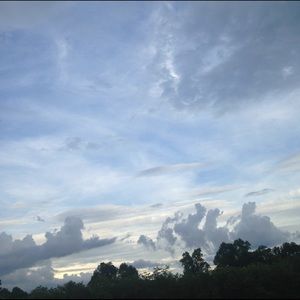 reserved bundle of grey and white sports bra