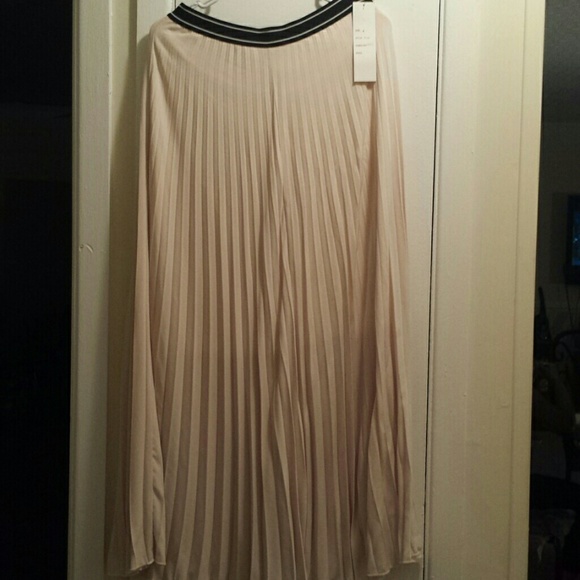 Pleated Skirt