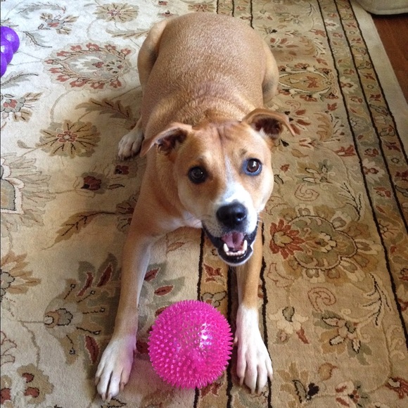 Meet your seller! - Picture 4 of 4