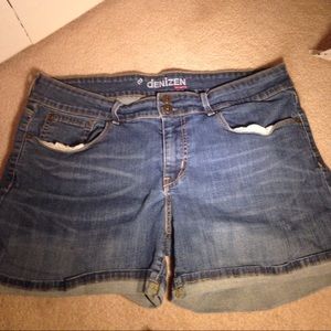 Denizens Jean Shorts