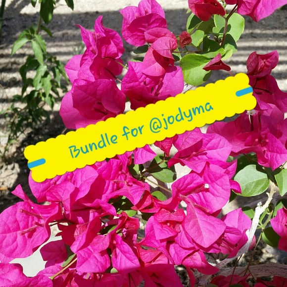 Chicos & Premise Bundle