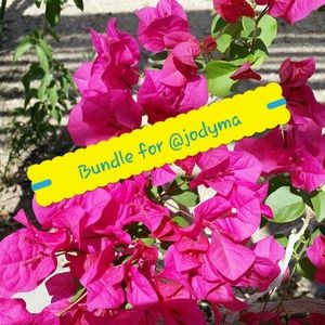 Chicos & Premise Bundle